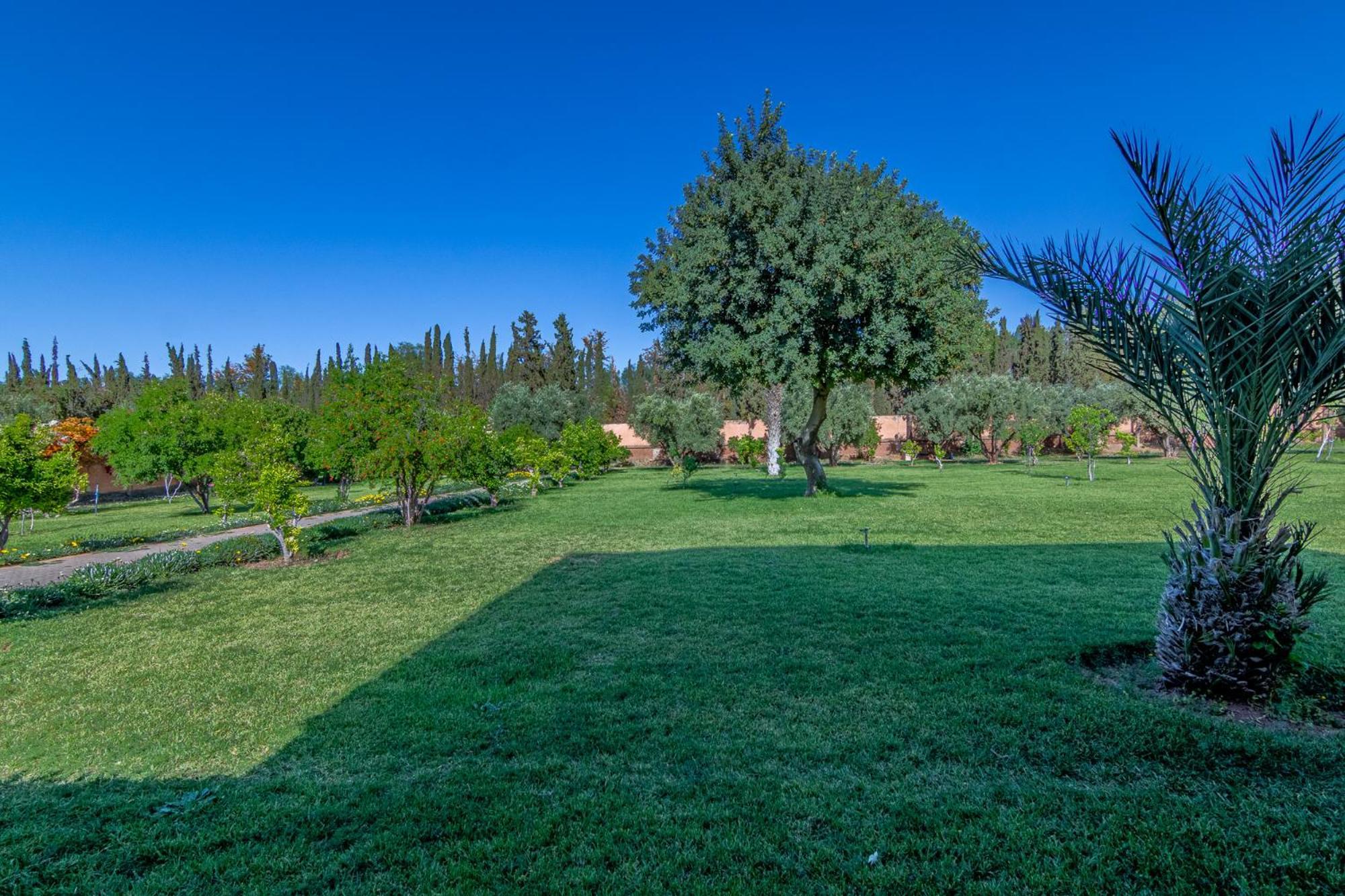 Palais Les Sources De L'Atlas & Spa Bed and Breakfast Marrakesh Exterior foto